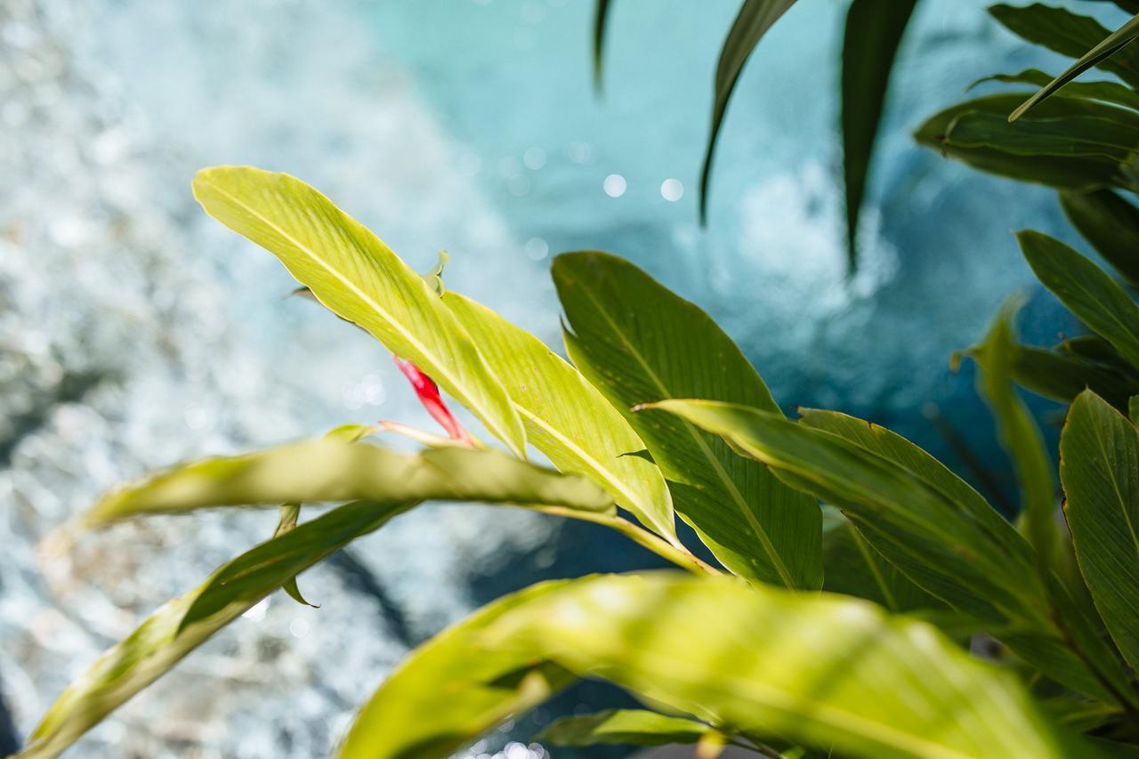 Villa Zita Seminyak Buitenkant foto